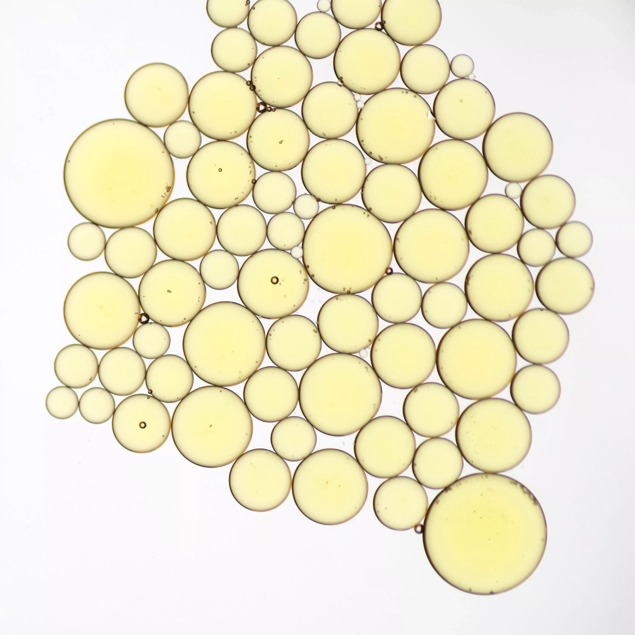 An image representing L-arginine